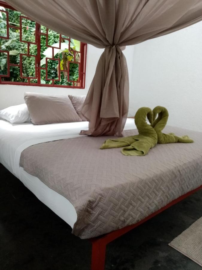 Bolita Trails And Lodging Dos Brazos 외부 사진