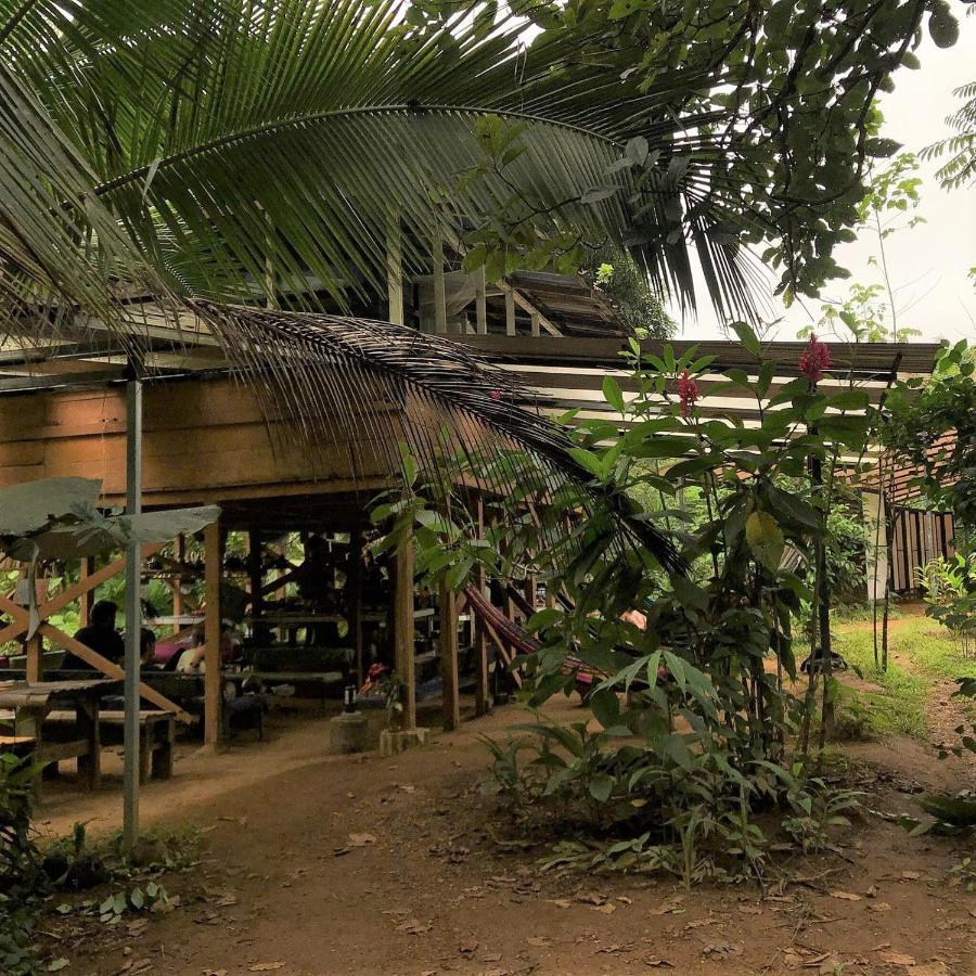Bolita Trails And Lodging Dos Brazos 외부 사진