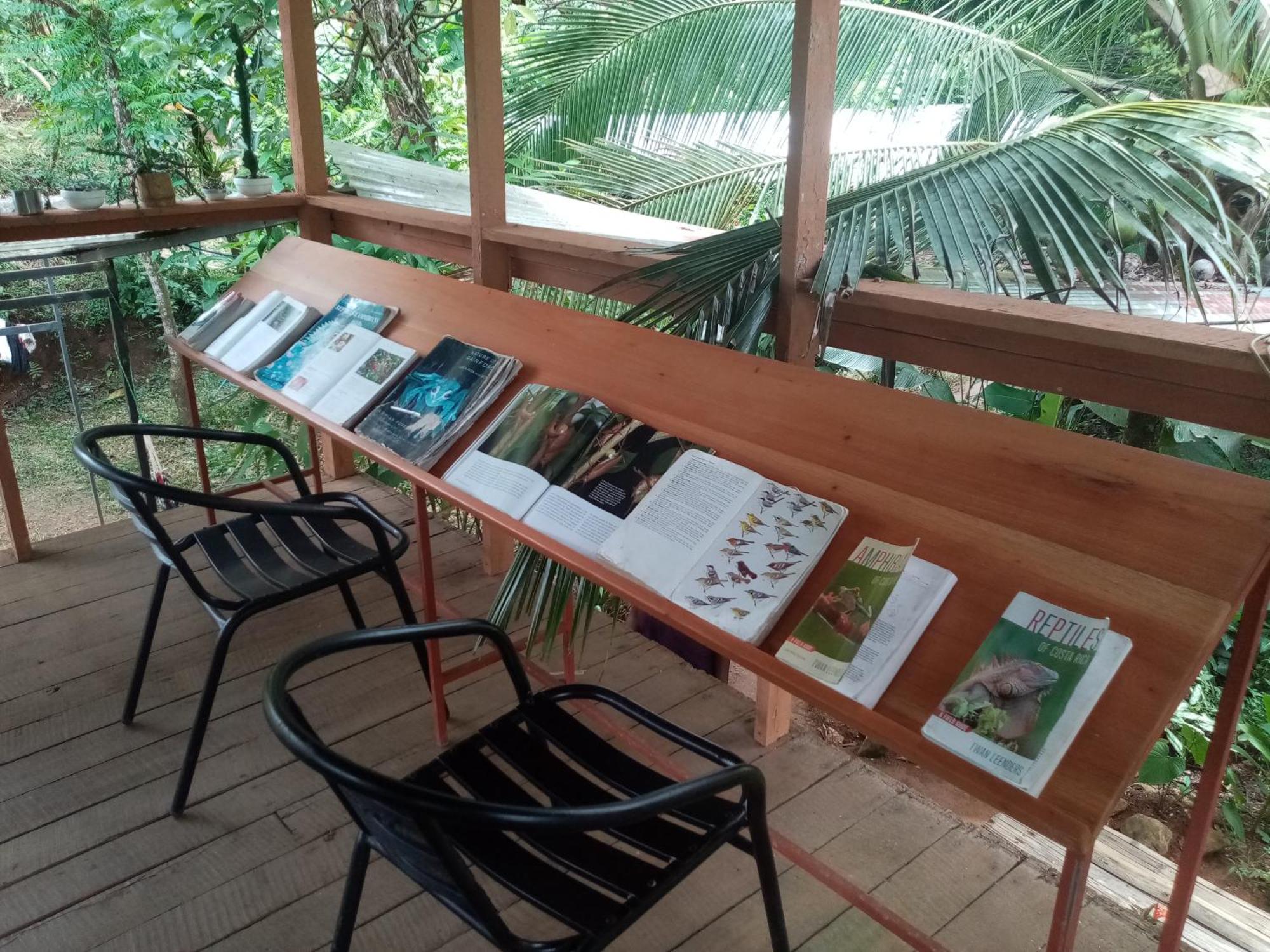 Bolita Trails And Lodging Dos Brazos 외부 사진