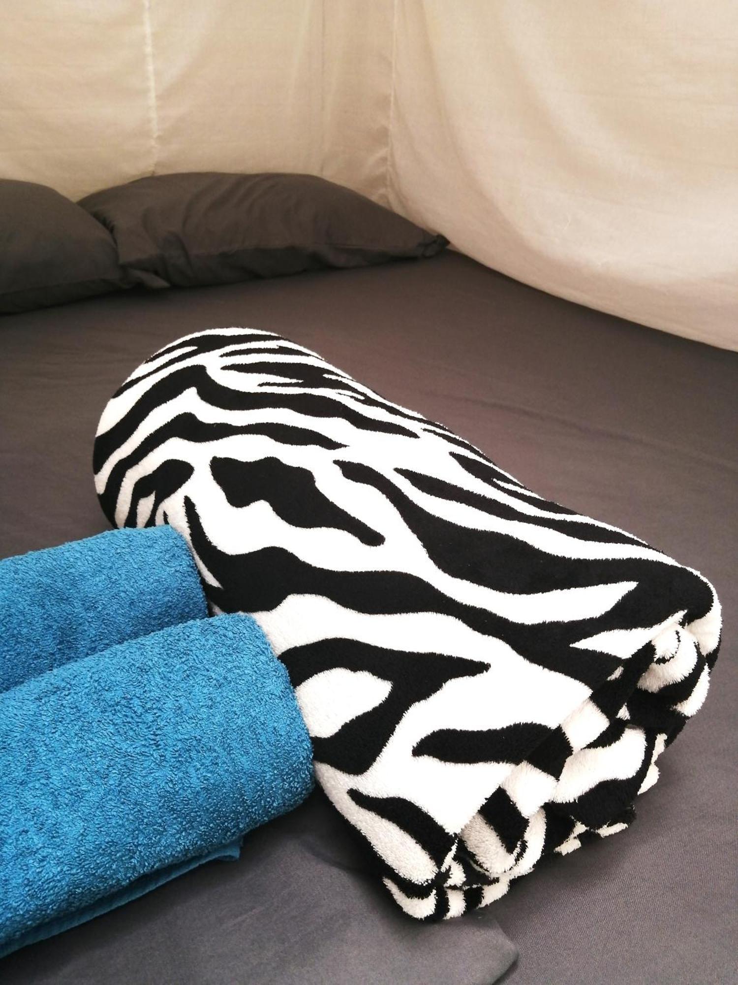 Bolita Trails And Lodging Dos Brazos 외부 사진