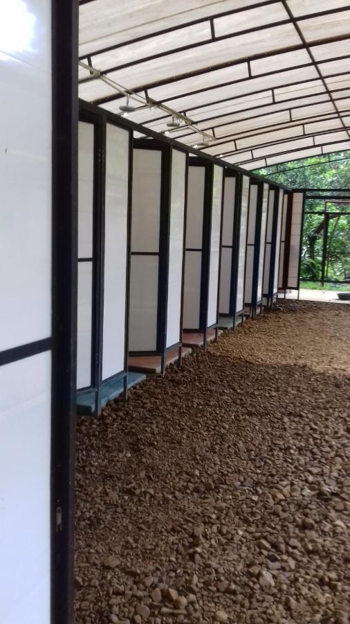 Bolita Trails And Lodging Dos Brazos 외부 사진